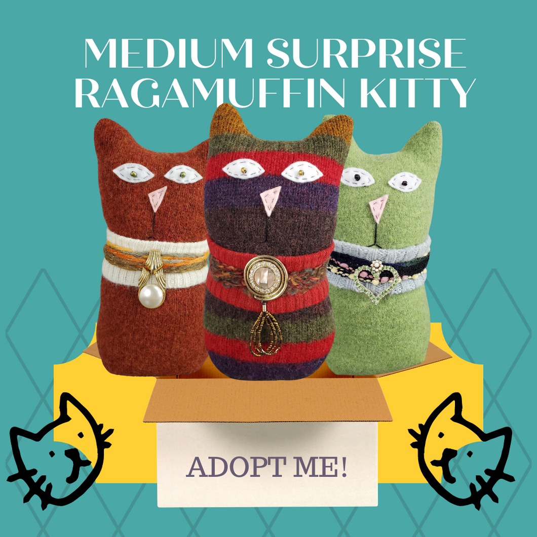 Surprise Medium Handmade Ragamuffin Kitty Cat Sweater Art Doll Cat Lover Gift